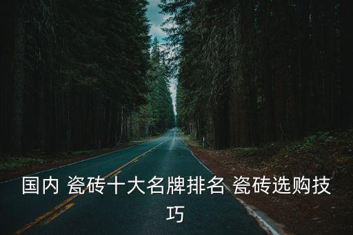 国内 瓷砖十大名牌排名 瓷砖选购技巧