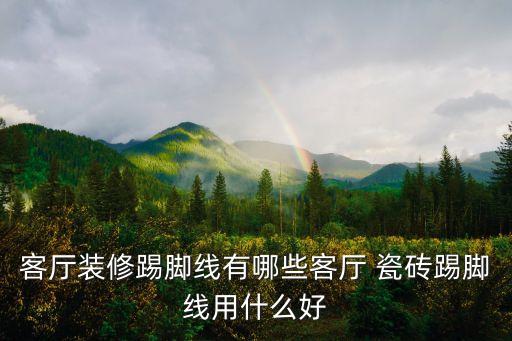 客厅装修踢脚线有哪些客厅 瓷砖踢脚线用什么好