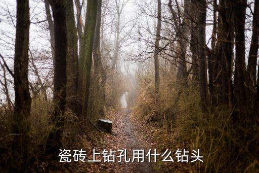  瓷砖上钻孔用什么钻头