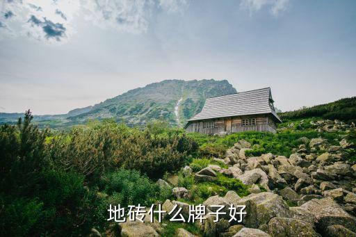 coloto瓷砖是什么品牌