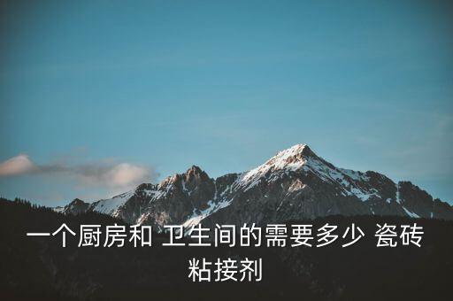 一个厨房和 卫生间的需要多少 瓷砖粘接剂