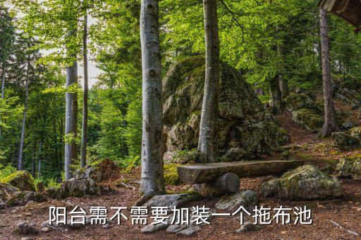 阳台需不需要加装一个拖布池