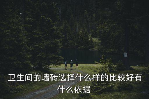  卫生间的墙砖选择什么样的比较好有什么依据