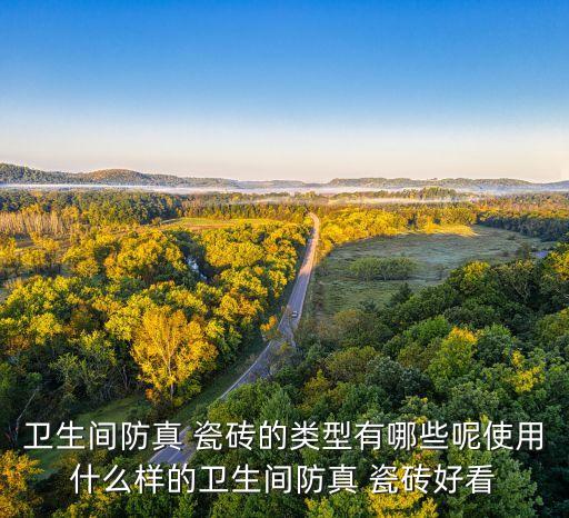 卫生间防真 瓷砖的类型有哪些呢使用什么样的卫生间防真 瓷砖好看