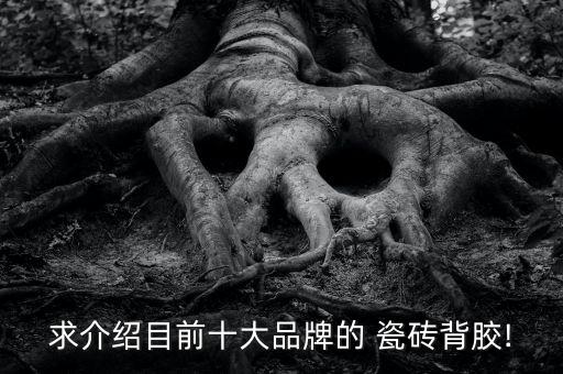 求介绍目前十大品牌的 瓷砖背胶!