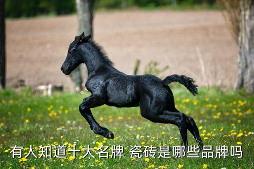 有人知道十大名牌 瓷砖是哪些品牌吗