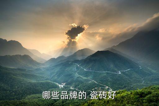 哪些品牌的 瓷砖好