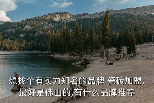 想找个有实力知名的品牌 瓷砖加盟,最好是佛山的,有什么品牌推荐