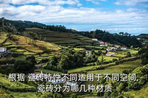 根据 瓷砖特性不同适用于不同空间, 瓷砖分为哪几种材质