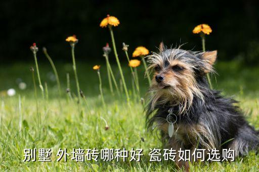 别墅 外墙砖哪种好 瓷砖如何选购