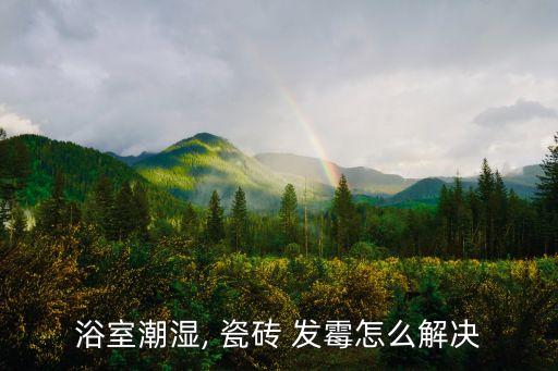 浴室潮湿, 瓷砖 发霉怎么解决