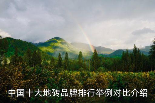 中国十大地砖品牌排行举例对比介绍