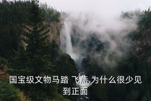 国宝级文物马踏 飞燕,为什么很少见到正面