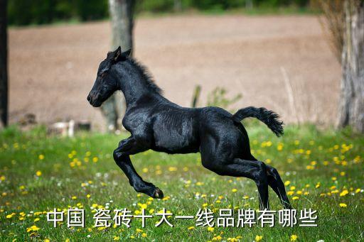中国 瓷砖十大一线品牌有哪些
