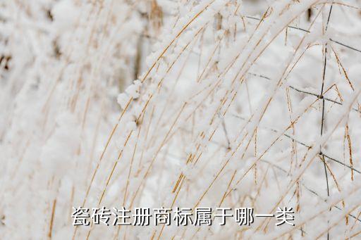  瓷砖注册商标属于哪一类