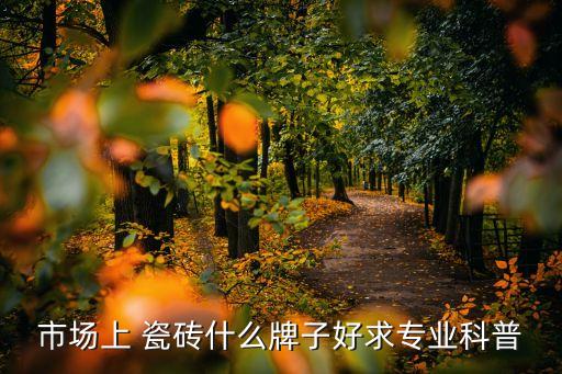 市场上 瓷砖什么牌子好求专业科普