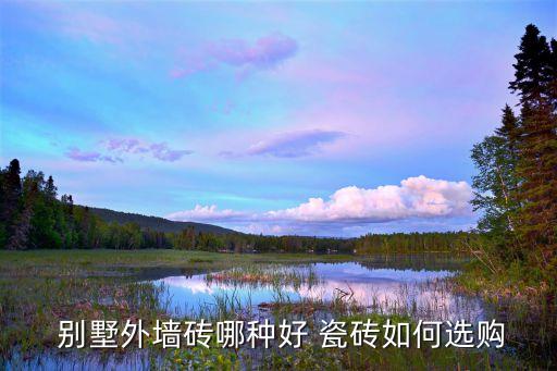  别墅外墙砖哪种好 瓷砖如何选购