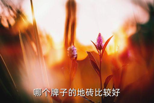 便宜好用瓷砖品牌有哪些,品牌瓷砖有的为什么特别便宜