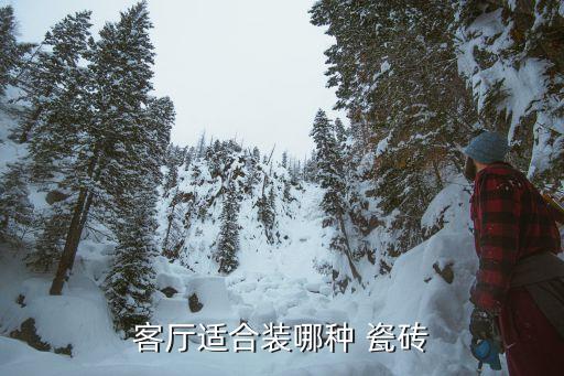 客厅适合装哪种 瓷砖