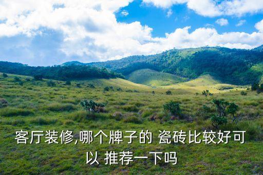 客厅装修,哪个牌子的 瓷砖比较好可以 推荐一下吗