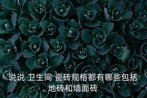 说说 卫生间 瓷砖规格都有哪些包括地砖和墙面砖