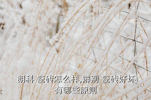 朗科卫生间拼色瓷砖,朗科瓷砖L8CD628-LP属于什么色