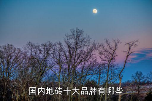 国内地砖十大品牌有哪些