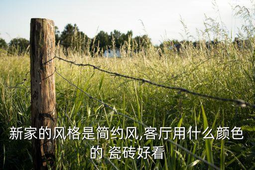 新家的风格是简约风,客厅用什么颜色的 瓷砖好看
