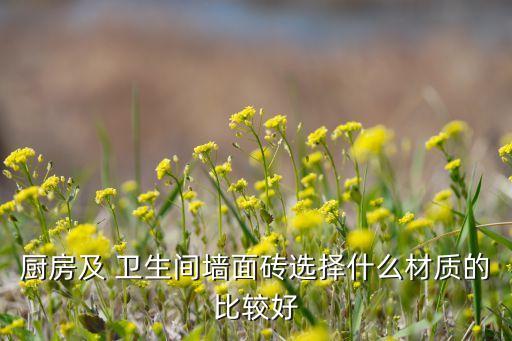 厨房及 卫生间墙面砖选择什么材质的比较好