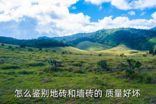 怎么鉴别地砖和墙砖的 质量好坏