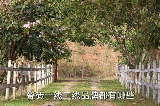 金时代瓷砖属于几线品牌,金自在瓷砖属于几线