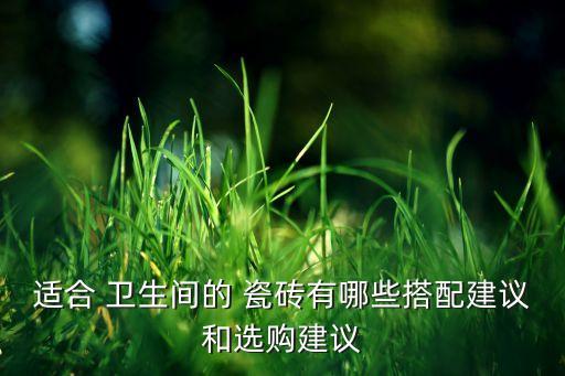 适合 卫生间的 瓷砖有哪些搭配建议和选购建议