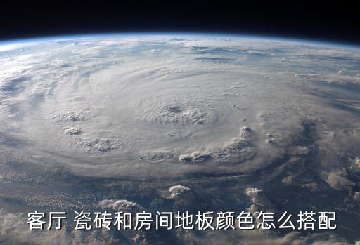 客厅卧室不同色瓷砖效果图