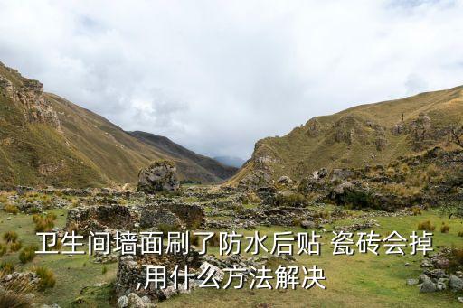  卫生间墙面刷了防水后贴 瓷砖会掉,用什么方法解决