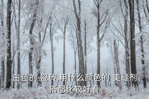 美缝贵族银配白瓷砖效果图