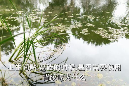 卫生间贴 瓷砖的时候,是否需要使用背胶呢为什么