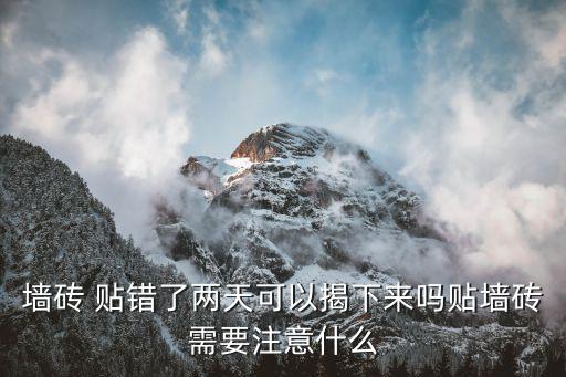 墙砖 贴错了两天可以揭下来吗贴墙砖需要注意什么