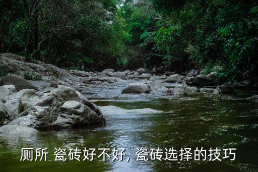 厕所 瓷砖好不好, 瓷砖选择的技巧