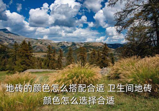地砖的颜色怎么搭配合适 卫生间地砖颜色怎么选择合适
