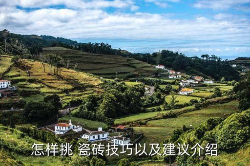 怎样挑 瓷砖技巧以及建议介绍