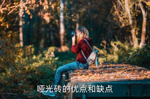 哑光砖的优点和缺点