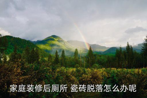 家庭装修后厕所 瓷砖脱落怎么办呢