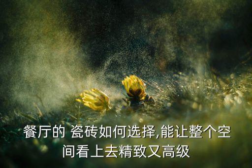  餐厅的 瓷砖如何选择,能让整个空间看上去精致又高级