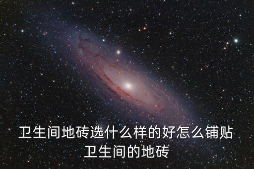 卫生间地砖选什么样的好怎么铺贴 卫生间的地砖