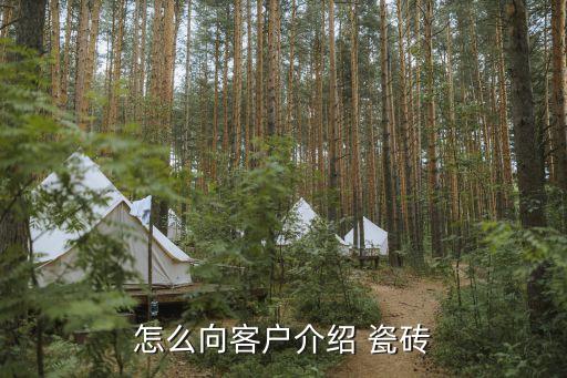 怎么向客户介绍 瓷砖