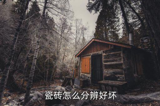 正宗品牌瓷砖的鉴定,正宗广东瓷砖哪几家品牌比较好?
