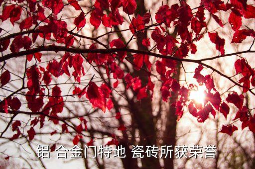铝 合金门特地 瓷砖所获荣誉