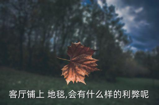 客厅铺上 地毯,会有什么样的利弊呢
