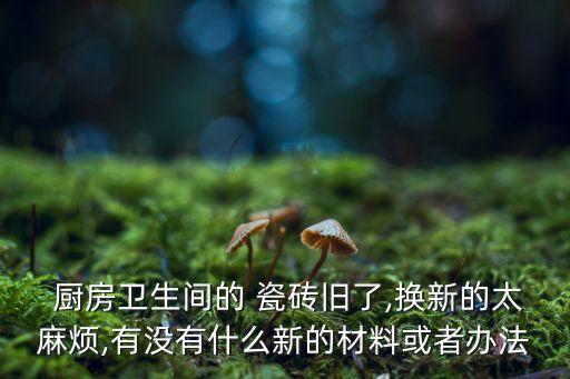  厨房卫生间的 瓷砖旧了,换新的太麻烦,有没有什么新的材料或者办法
