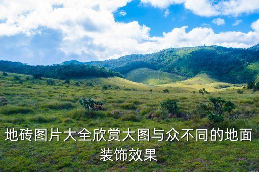 地砖图片大全欣赏大图与众不同的地面装饰效果